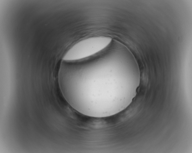 X0000114500424200910191140