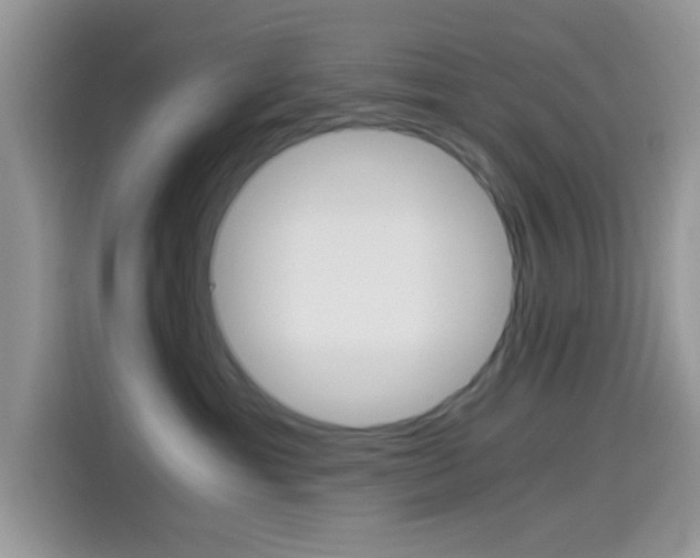 X0000114500429200910191140