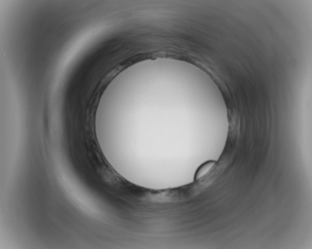 X0000114500430200910191140