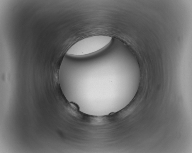 X0000114500432200910191140