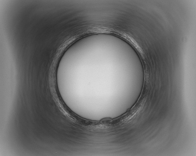 X0000114500433200910191139