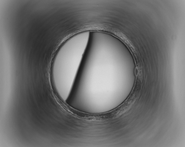 X0000114500434200910191139