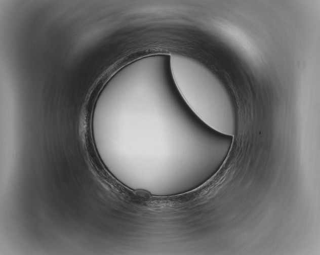 X0000114500435200910191140