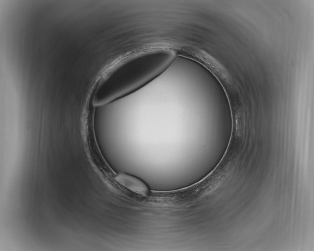 X0000114500436200910191140