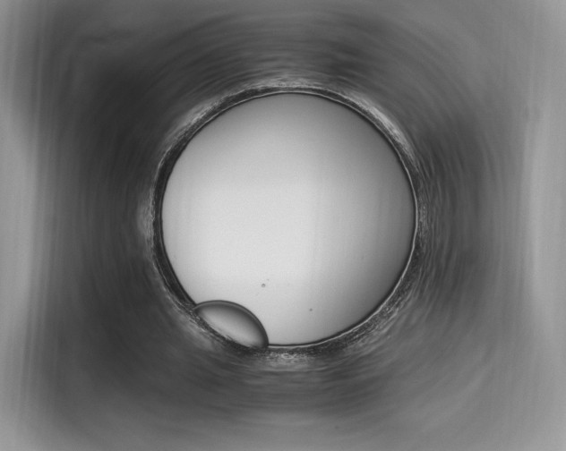 X0000114500437200910191140