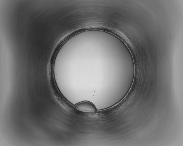 X0000114500439200910191140