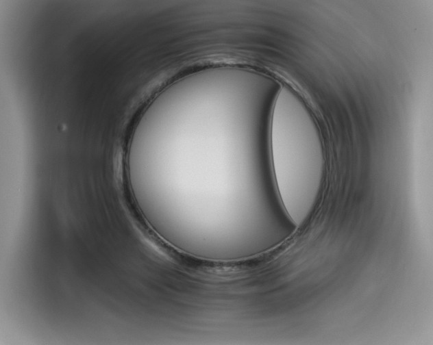 X0000114500445200910191140