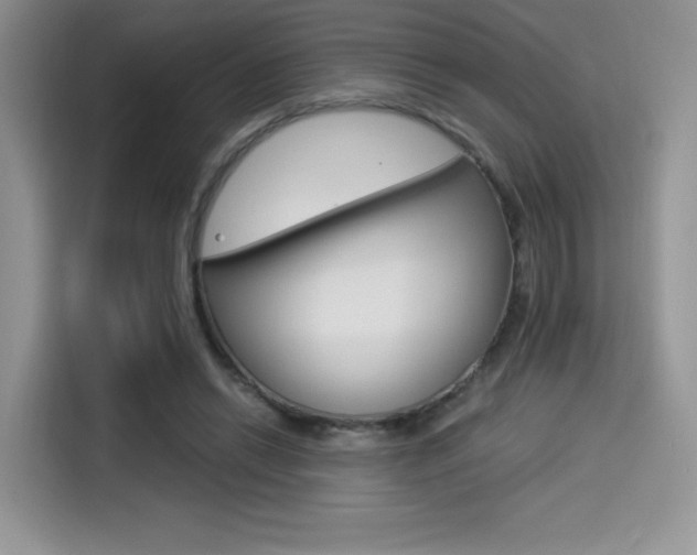 X0000114500446200910191140