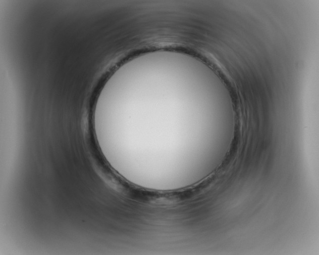 X0000114500447200910191140