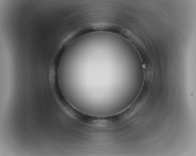 X0000114500448200910191140