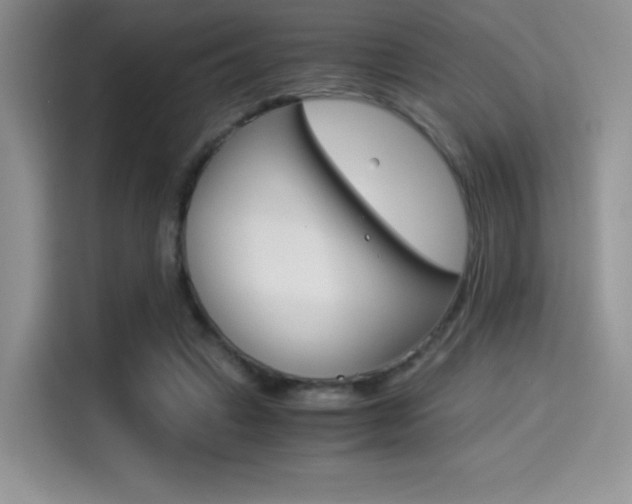X0000114500449200910191140