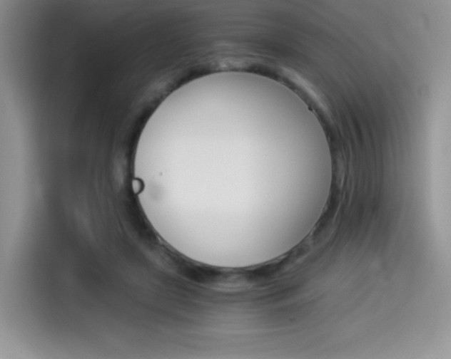 X0000114500451200910191140