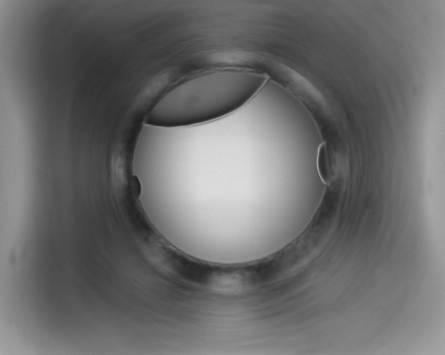 X0000114500452200910191140