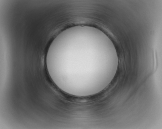 X0000114500454200910191140