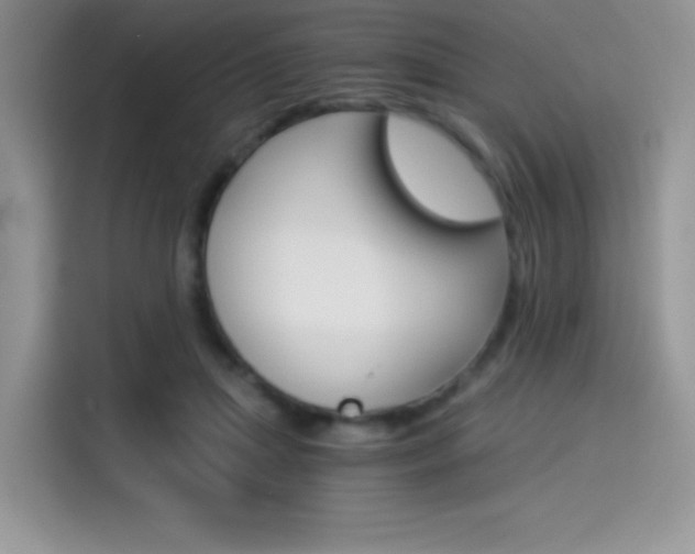 X0000114500455200910191140