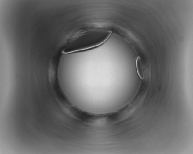 X0000114500456200910191140