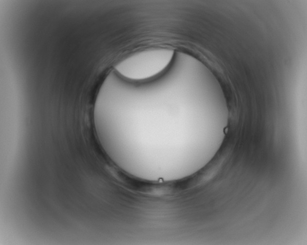 X0000114500462200910191140
