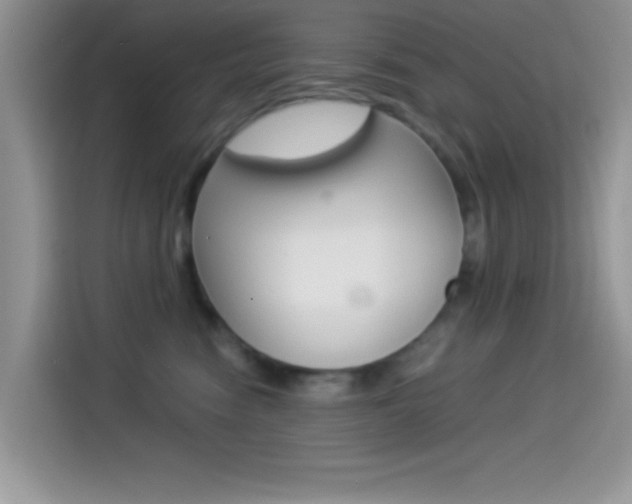 X0000114500474200910191140