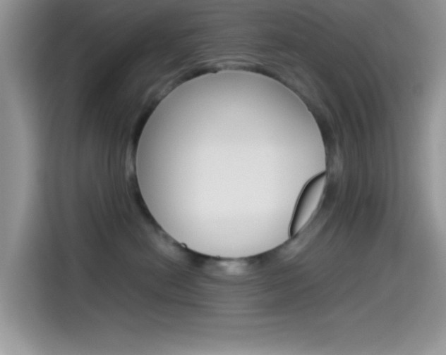 X0000114500478200910191140