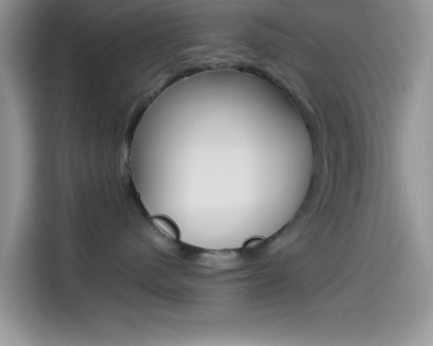 X0000114500480200910191140