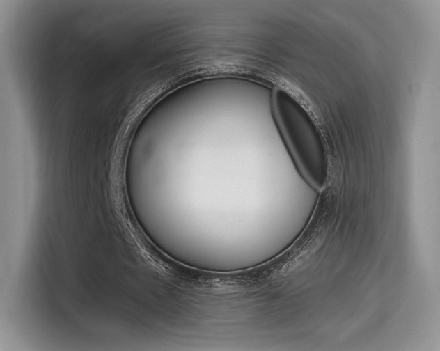 X0000114500481200910191139