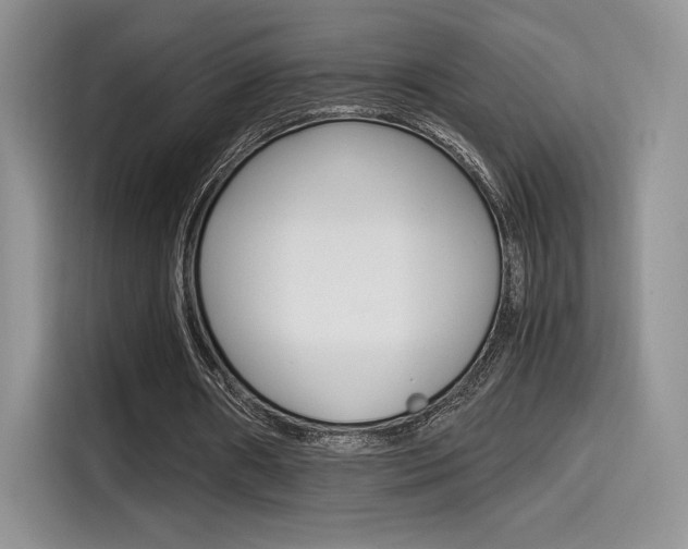 X0000114500482200910191139
