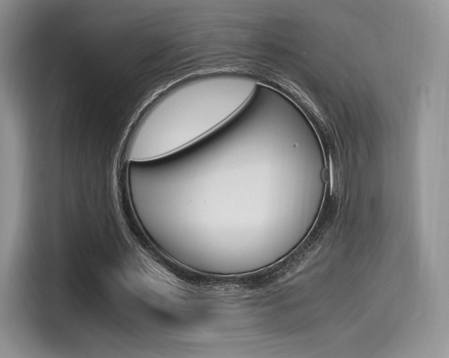 X0000114500483200910191139