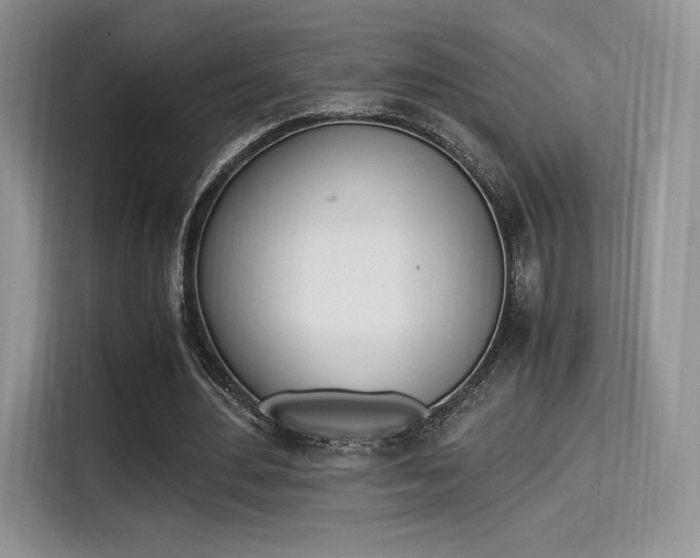 X0000114500484200910191139