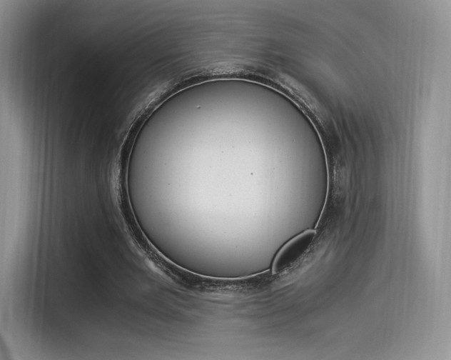 X0000114500485200910191139