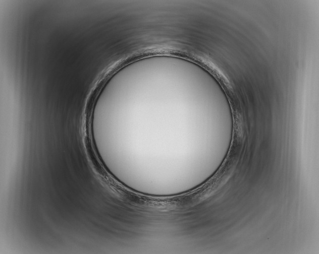 X0000114500486200910191139