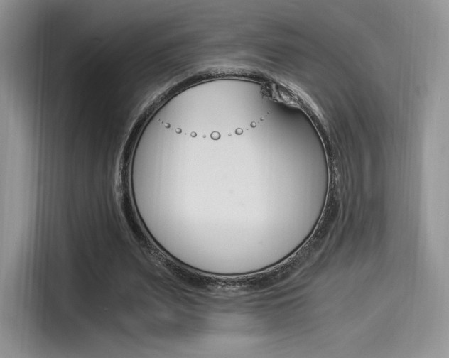 X0000114500487200910191139
