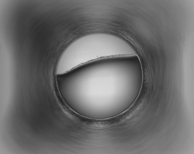 X0000114500489200910191139