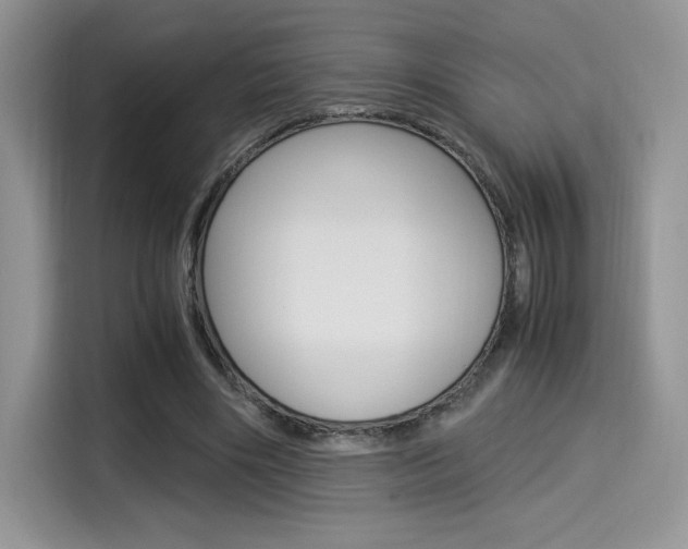 X0000114500490200910191139