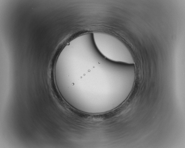 X0000114500491200910191139