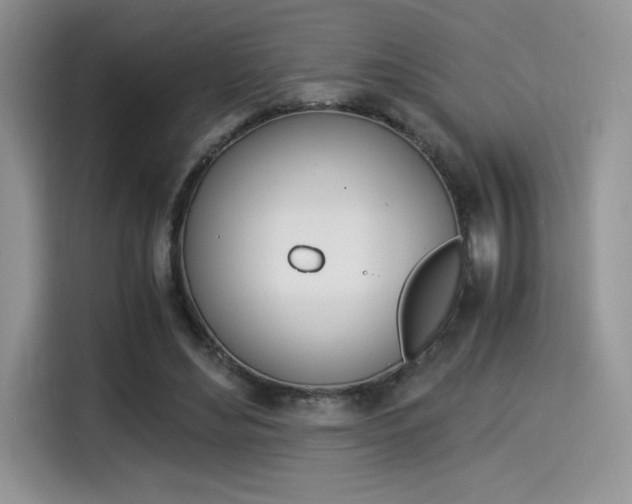 X0000114500492200910191139