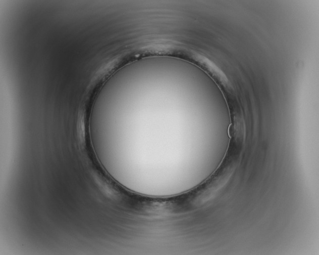 X0000114500493200910191139