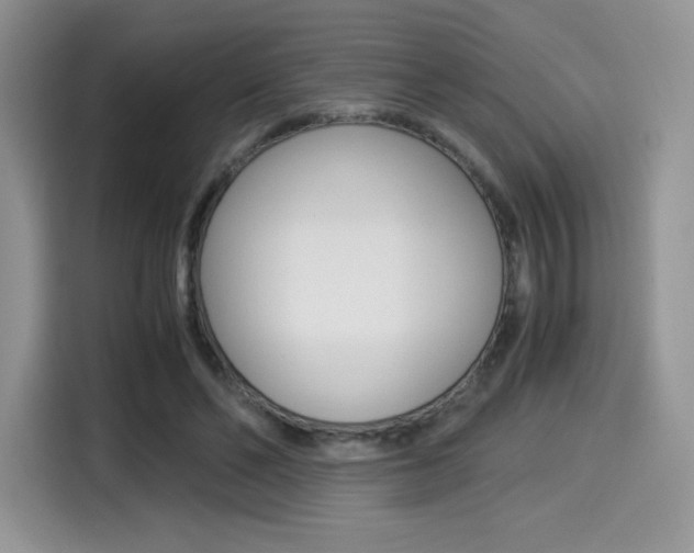 X0000114500494200910191139