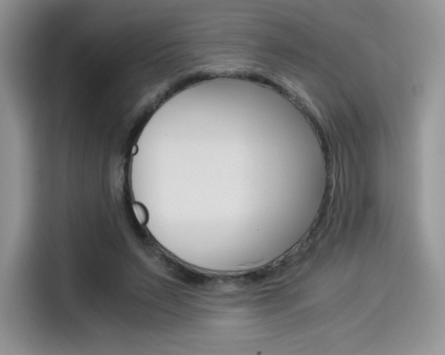 X0000114500495200910191139