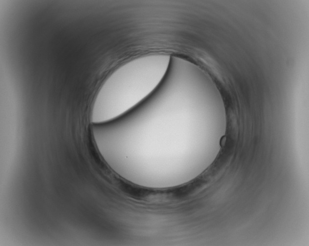 X0000114500499200910191139