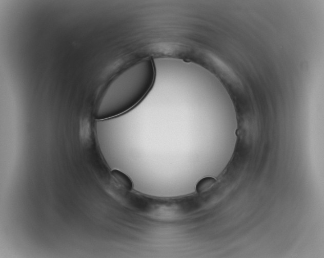 X0000114500500200910191139