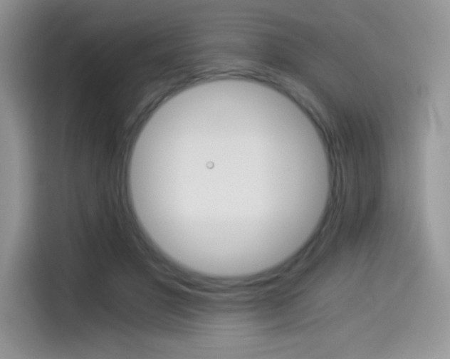 X0000114500501200910191139