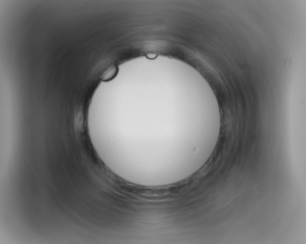 X0000114500502200910191139