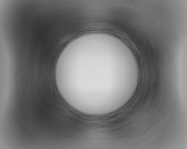 X0000114500505200910191139