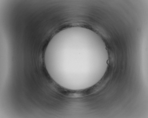 X0000114500506200910191139