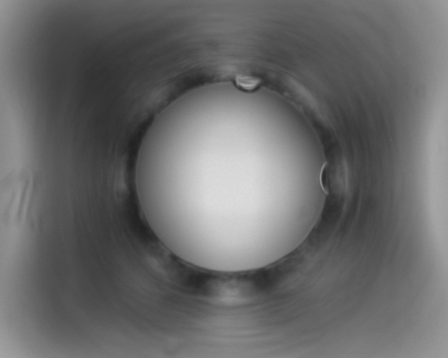 X0000114500512200910191139