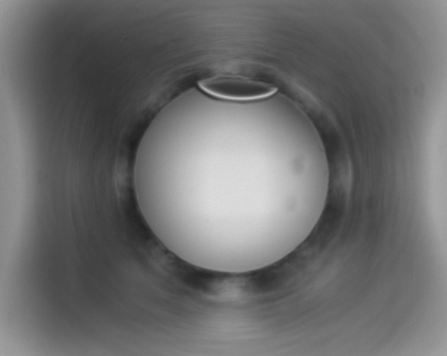 X0000114500513200910191139