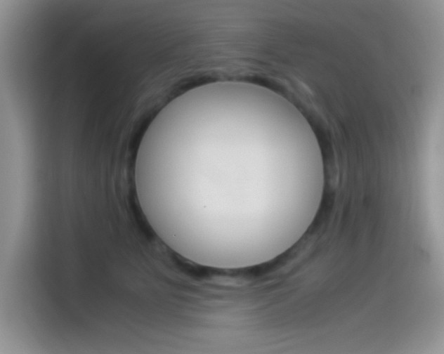 X0000114500515200910191139