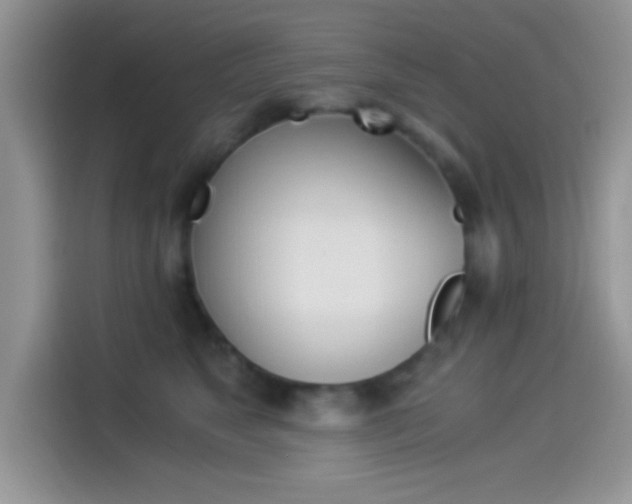 X0000114500517200910191139