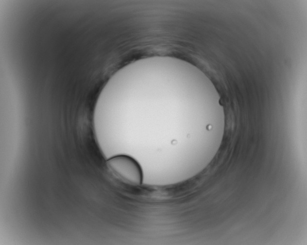 X0000114500518200910191139
