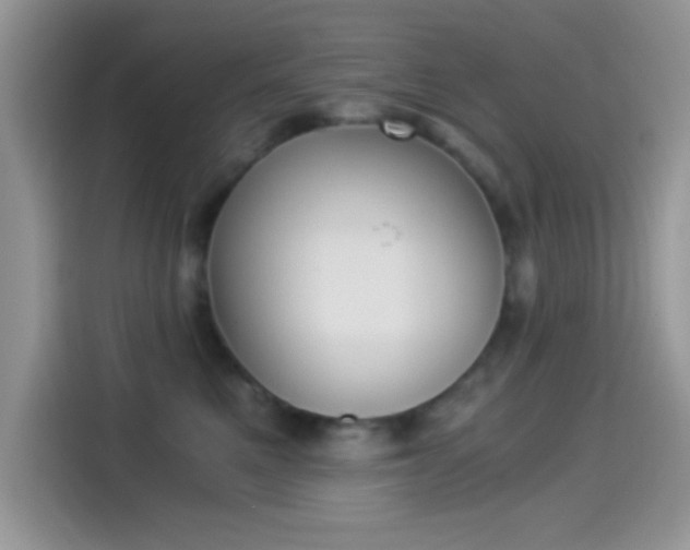 X0000114500521200910191139